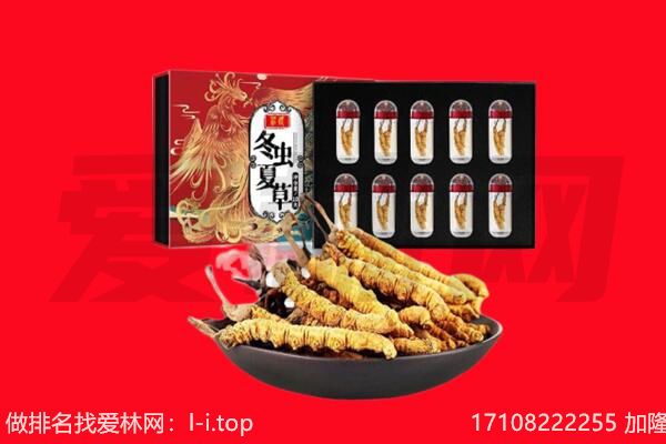 上思县回收虫草.jpg